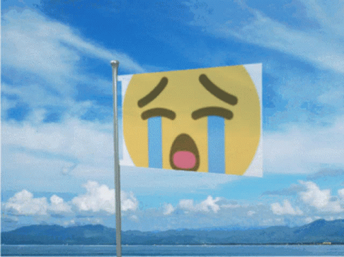 Crying Emoji Meme Flag Meme GIF - Crying Emoji Meme Flag Meme Flag GIFs