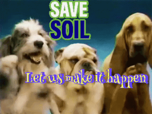 Save Soil Dog GIF - Save Soil Dog Let Us Make It Happen GIFs