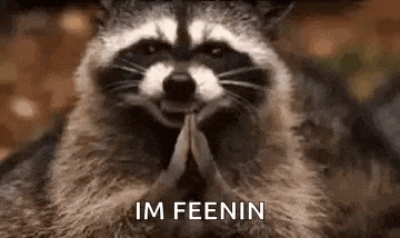 a raccoon is praying with its hands folded in front of it .