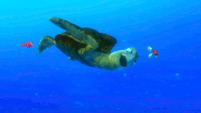 A GIF - Finding Nemo Turtle Crush GIFs
