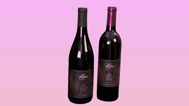 two bottles of wine on a pink background with the words wine time written in pink