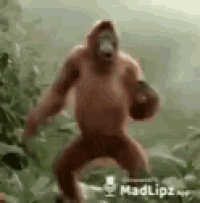 a monkey is standing in the jungle with a microphone in his hand .