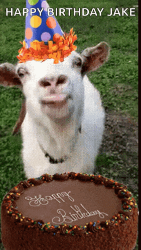 a goat wearing a party hat stands in front of a cake that says happy birthday