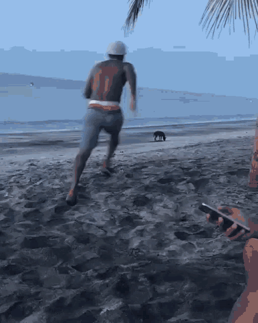 Guy Trying To Kick A Dog Dogs GIF - Guy Trying To Kick A Dog Dogs Beach GIFs