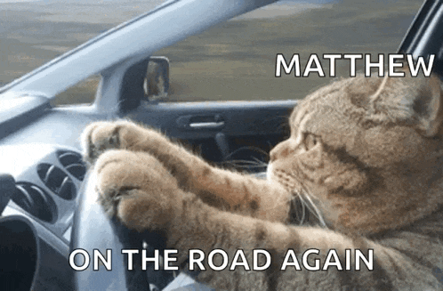 a cat driving a car with the words matthew on the road again below it