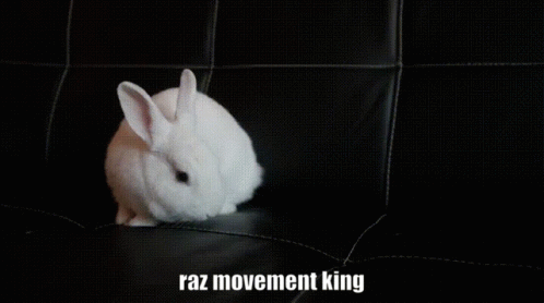Raz Raz Movement King GIF