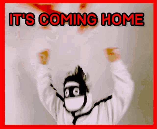 a poster that says it 's coming home with a ninja on it