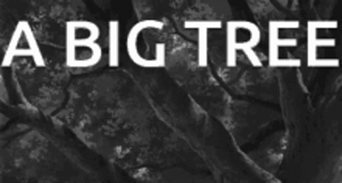 Black And White Big Tree GIF - Black And White Big Tree Studio Ghibli GIFs