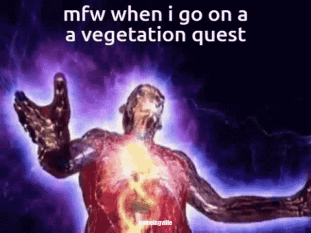 a man with his arms outstretched and the words mfw when i go on a vegetation quest above him