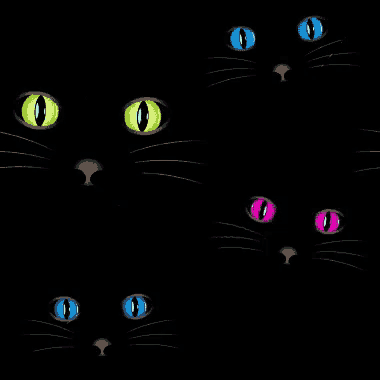 a black cat with a blue eye and a pink eye