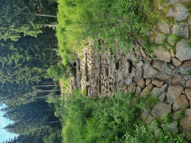 a stone wall surrounded by grass and trees in a forest