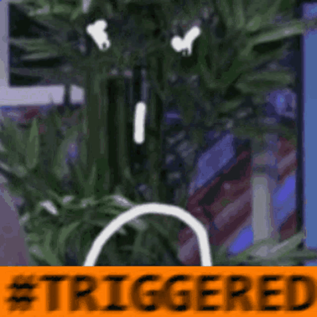 a picture of a plant with the word triggered in the corner