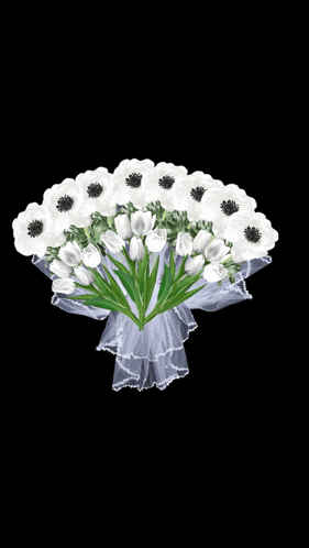 a bouquet of white flowers wrapped in a white veil on a black background