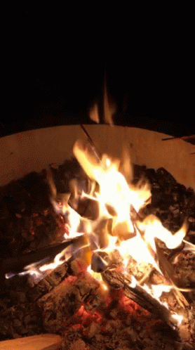 Camping Fire GIF - Camping Fire Camp Fire GIFs