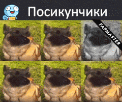 a collage of images of a pug with the caption fapmaster