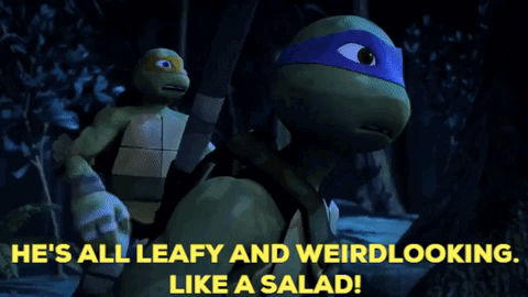 Tmnt Michelangelo GIF - Tmnt Michelangelo Hes All Leafy And Weirdlooking GIFs