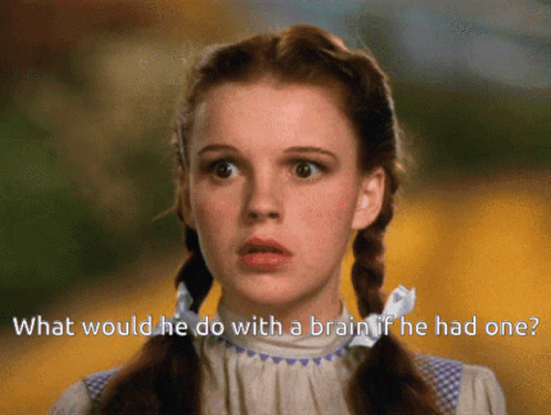 Dorothy Wizard Of Oz GIF - Dorothy Wizard Of Oz Brain GIFs