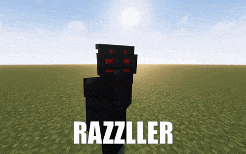 a minecraft character named razzller is standing in a grassy field