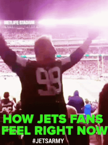 Jets Ny Jets GIF - Jets Ny Jets Jets Fans GIFs