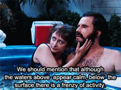 Frenzy Of Activity Snl GIF - Frenzy Of Activity Snl GIFs