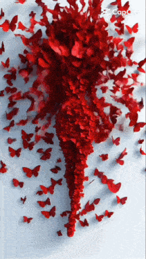 a bunch of red butterflies on a white background that says capture