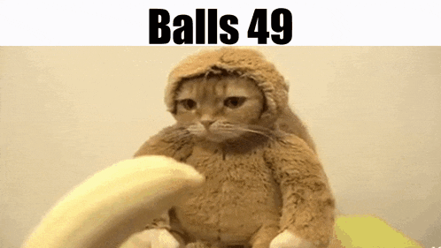 a cat is holding a banana in its paws and wearing a furry hat .