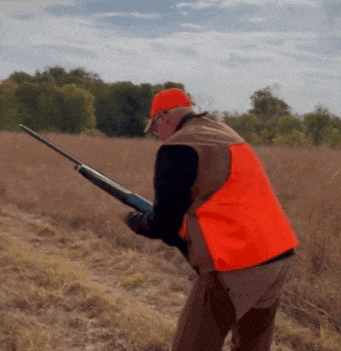 a man wearing an orange vest is holding a shotgun in a field