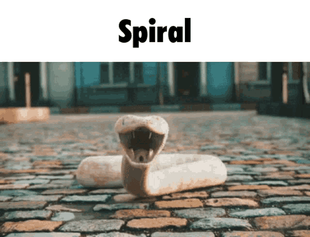 Spiral Snake GIF - Spiral Snake Gametal GIFs