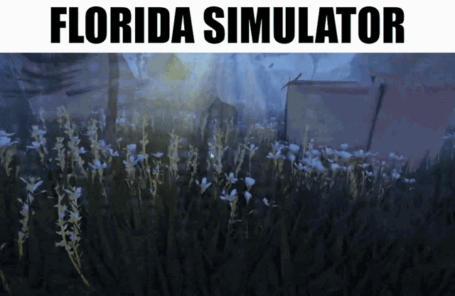 Florida Simulator GIF - Florida Simulator Florida Simulator GIFs