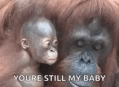Mother Baby GIF - Mother Baby Kiss GIFs