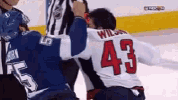 a hockey player with the number 43 on his back