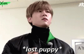 Lost Puppy Cute GIF - Lost Puppy Cute Noidea GIFs