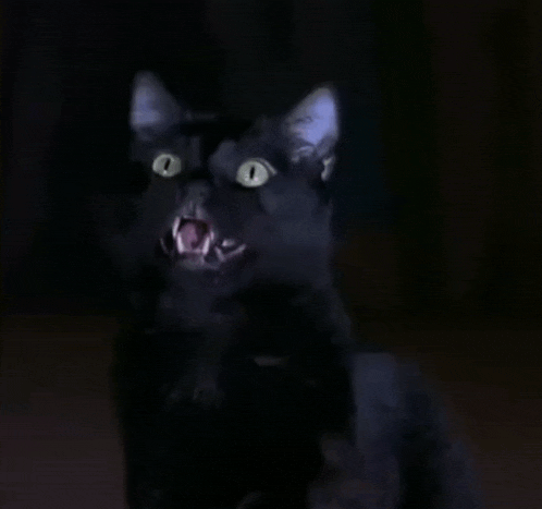 a black cat with its mouth open and its teeth visible