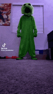 a person in a green costume is standing in front of a window ..