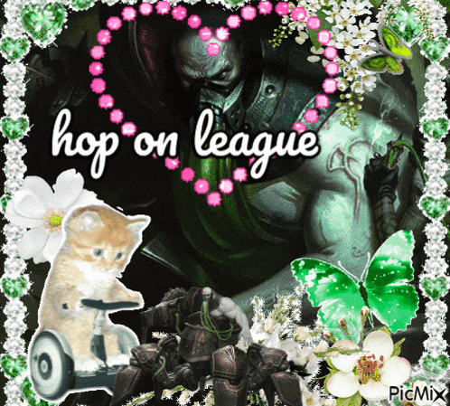 a picture that says hop on league with a cat