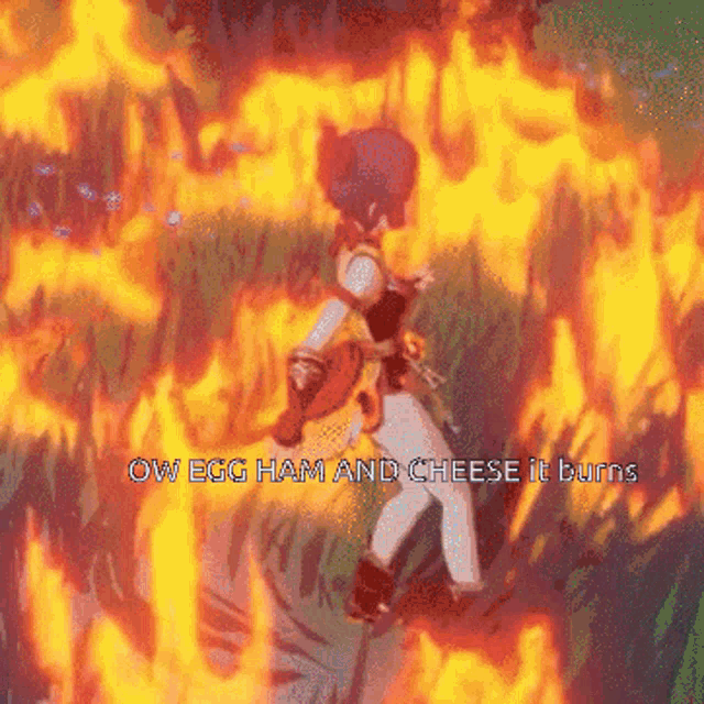 a cartoon character is surrounded by flames with the words ow egg ham and cheese it burns below her