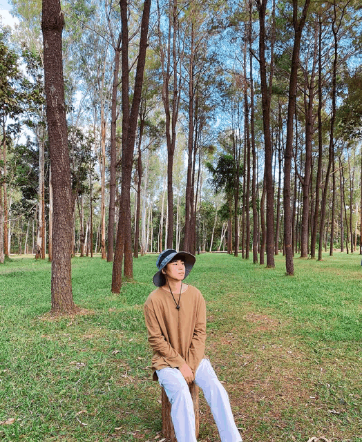 a woman in a hat sits on a tree stump in the middle of a forest
