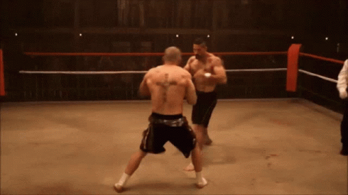 Fighting Attack GIF - Fighting Fight Attack GIFs