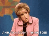 Snl Saturday Night Live GIF