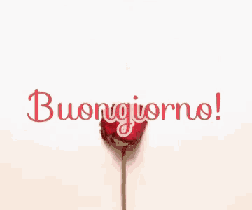a heart made of red rose petals with the words buongiorno in white letters