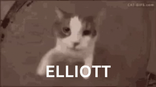 Elliott GIF - Elliott GIFs