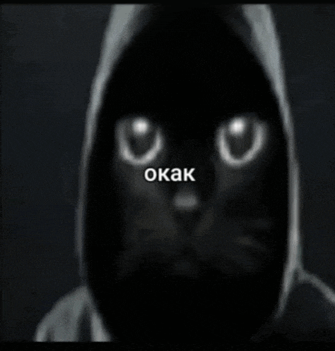 a black cat wearing a hooded jacket with the words okak written on it .