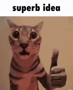 a cat is giving a thumbs up with the words superb idea behind it