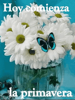 a bouquet of daisies in a vase with a butterfly and the words hoy comienza la primavera