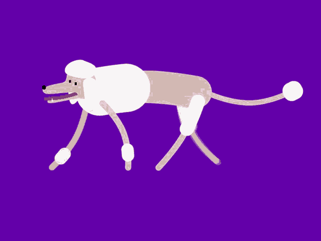 a cartoon drawing of a poodle on a purple backdrop