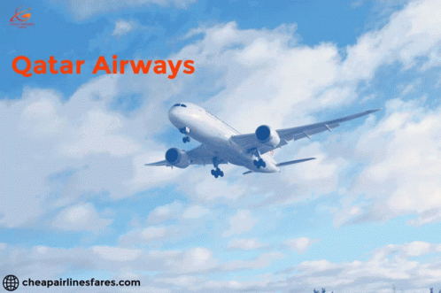 Qatar Airways Customer Service Booked Your Tickets In Qatar Airways GIF - Qatar Airways Customer Service Booked Your Tickets In Qatar Airways GIFs