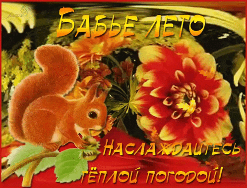 a squirrel is sitting on a branch with flowers and the words babe leto