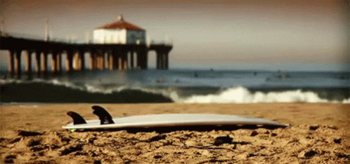 California Beach GIF