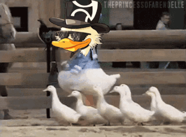 a picture of a duck wearing sunglasses and a hat with the words " theprincesssofarendelle " at the bottom