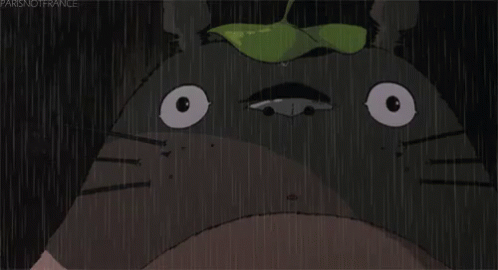 My Neighbor Totoro Anime GIF - My Neighbor Totoro Anime Oh GIFs